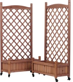 Raised Garden Bed with Trellies 2 Pack, Outdoor Wooden Planter Box & Plant Stand with Climbing Racks
