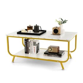 Rectangular Coffee Table with Metal Frame for Living Room (Type: Coffee Tables, Color: Gold & White)